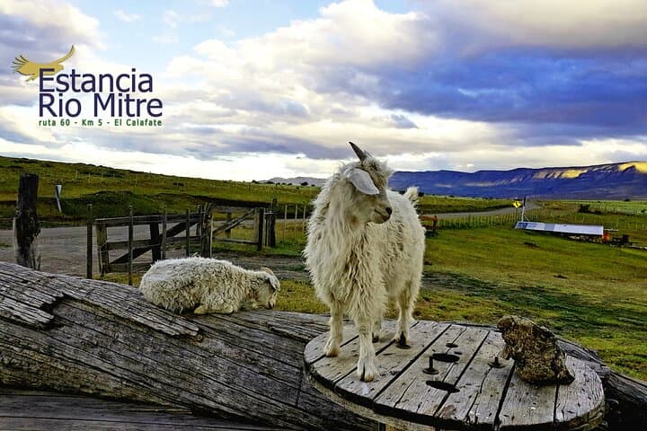 Sunset at Perito Moreno Glacier: Shared Tour from El Calafate photo 3