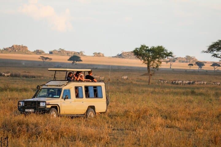 4-Day Camping Safari in Tanzania: Tarangire, Serengeti & Ngorongoro photo 4