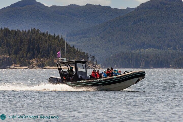 Full-Day Whale Watching in Campbell River: Humpbacks, Orcas & Coastal Fjords photo 6
