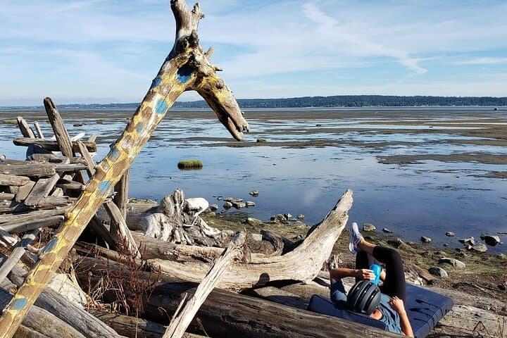 Mud Bay Park E‑Bike Ride Along Boundary Bay’s Dyke Trails