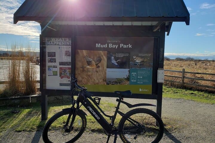 Mud Bay Park E‑Bike Ride Along Boundary Bay’s Dyke Trails photo 2