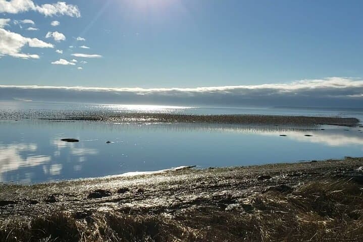 Mud Bay Park E‑Bike Ride Along Boundary Bay’s Dyke Trails photo 3