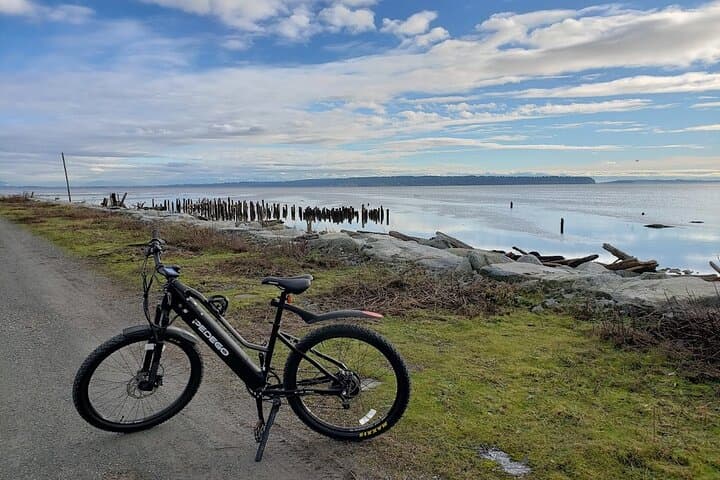 Mud Bay Park E‑Bike Ride Along Boundary Bay’s Dyke Trails photo 4