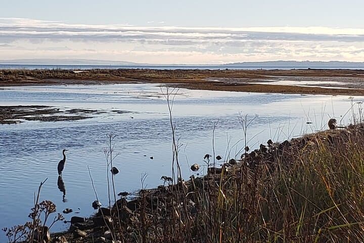 Mud Bay Park E‑Bike Ride Along Boundary Bay’s Dyke Trails photo 5