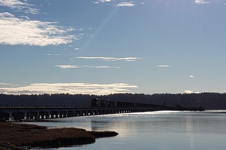 Mud Bay Park E‑Bike Ride Along Boundary Bay’s Dyke Trails photo 6