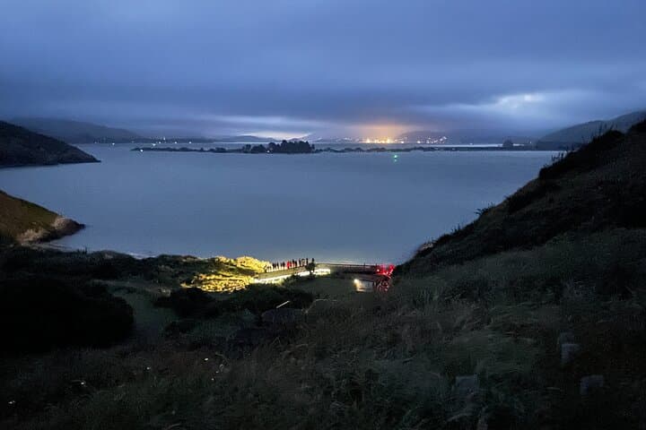 Guided Evening Blue Penguin Viewing on Otago Peninsula, Dunedin photo 3