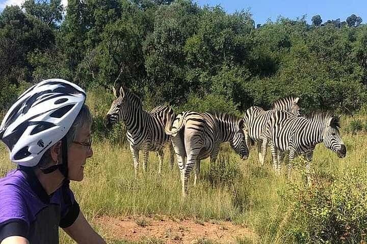 E-Bike Through Groenkloof: Half-Day Wildlife Ride Near Pretoria