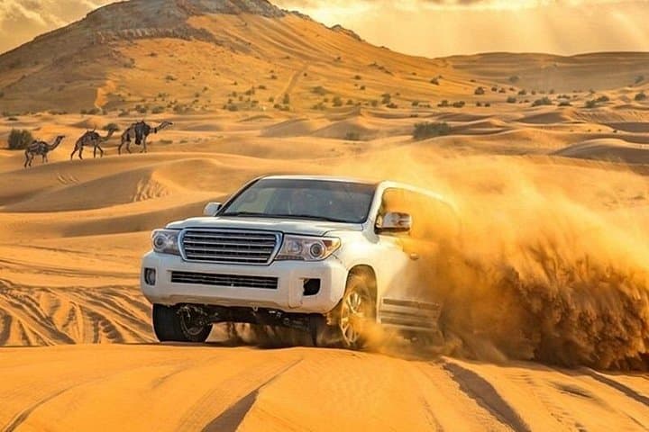 VIP Evening Desert Private Safari: Dubai Red Dunes Sunset & Cultural Camp photo 3