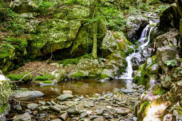 Shenandoah Skyline Drive Self-Guided Audio Tour — Stops, History & Tips photo 5