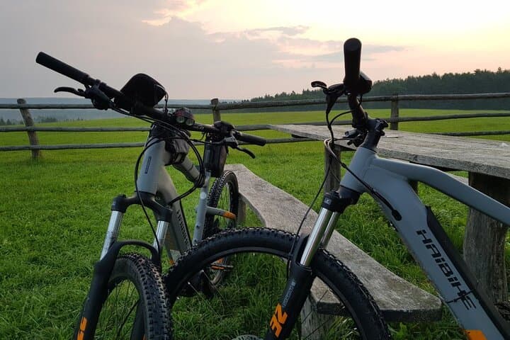 Roztocze Electric MTB Rental: Explore Poland’s Pine Hills by E‑Bike photo 4