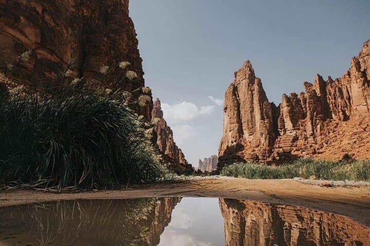 Wadi Al Disah Full-Day Tour from Al Ula — Explore Wadi Qaraqir Canyon