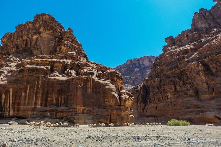 Wadi Al Disah Full-Day Tour from Al Ula — Explore Wadi Qaraqir Canyon photo 2