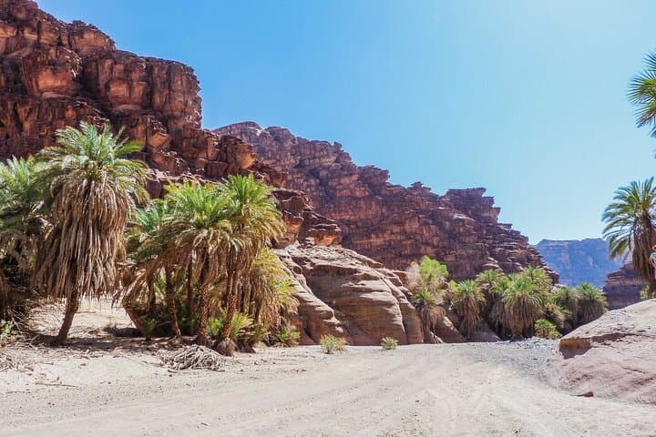 Wadi Al Disah Full-Day Tour from Al Ula — Explore Wadi Qaraqir Canyon photo 3
