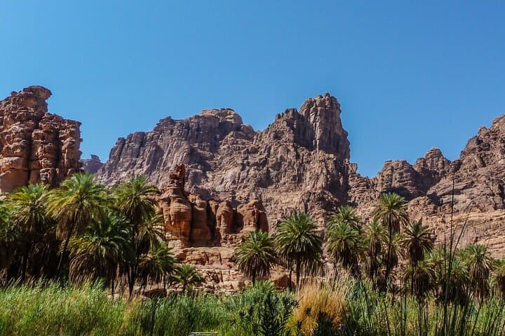 Wadi Al Disah Full-Day Tour from Al Ula — Explore Wadi Qaraqir Canyon photo 4