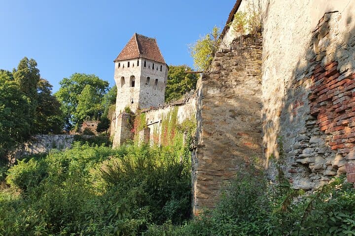 6-Day Private Romania Tour from Bucharest: Castles, Dacian Ruins & Transfagarasan