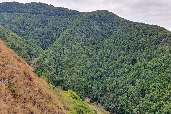 6-Day Private Romania Tour from Bucharest: Castles, Dacian Ruins & Transfagarasan photo 4