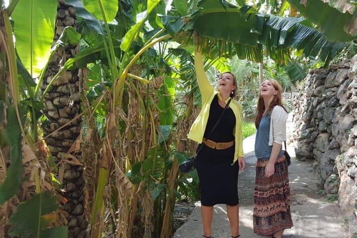 Nizwa, Al Hamra & Misfah Al Abryeen: Full-Day Cultural Tour from Muscat photo 1