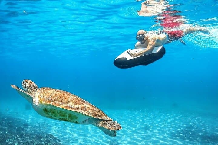 Seabob Rental at Anse Caraïbe — Explore Turtles & Reefs in Pointe‑Noire photo 2