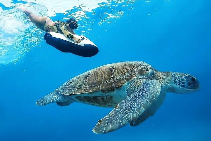 Seabob Rental at Anse Caraïbe — Explore Turtles & Reefs in Pointe‑Noire