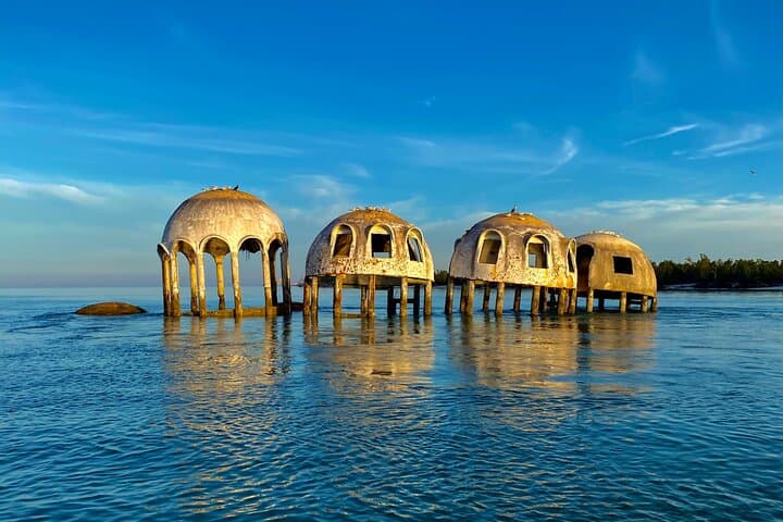Ten Thousand Islands Eco & Dolphin Tour — Cape Romano, Mangroves & Shelling photo 6
