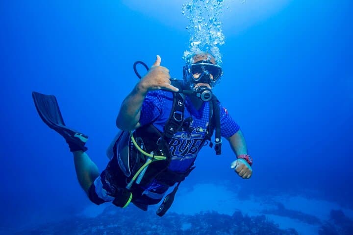 Discovery Scuba Diving in Puerto Morelos — Beginner-Friendly Reef Dives photo 5