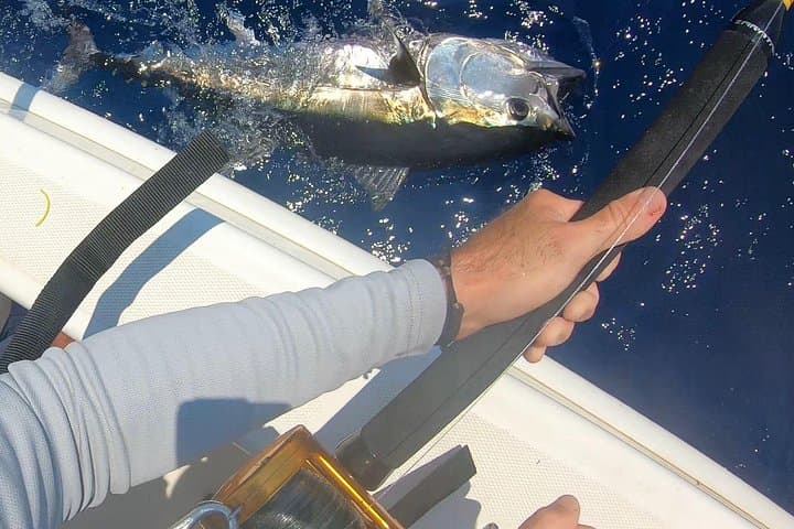 Bluefin Tuna Fishing Charter — Egadi Islands Offshore Adventure