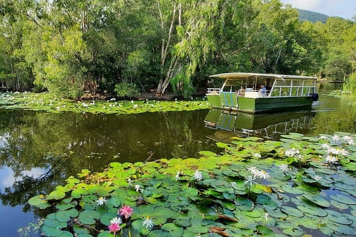 Shared Shuttle to Hartley's Crocodile Adventures from Cairns — Return Transfer and Park Preview photo 3