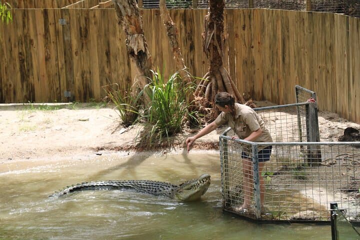 Shared Shuttle to Hartley's Crocodile Adventures from Cairns — Return Transfer and Park Preview photo 2