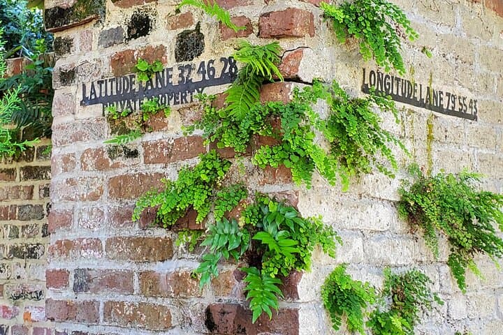 Private Walking Tour of Historic Charleston — 2-Hour Guided Walk with a Local Expert