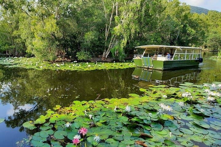 Port Douglas to Hartley's Shared Shuttle: Return Transfers & Park Access photo 2