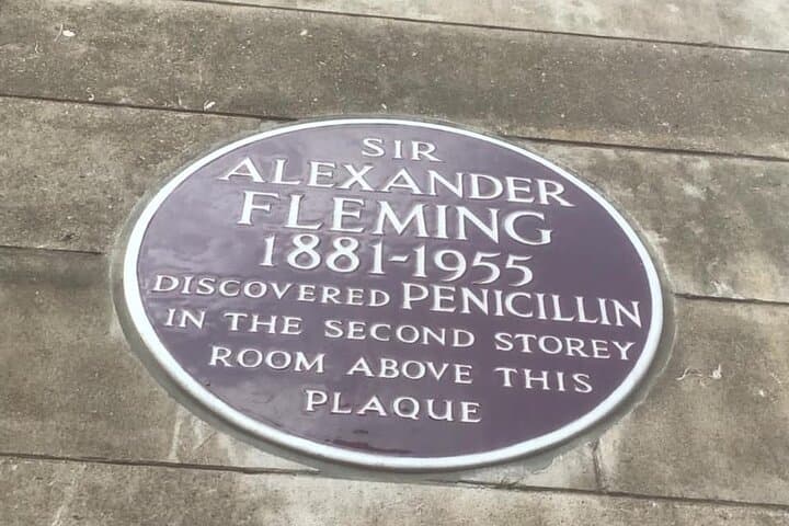 London’s Millennia of Medical Progress: Private Medical History Walking Tour photo 3