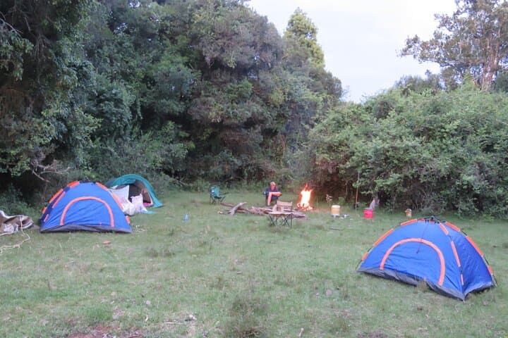 Masai Mara to Loita Forest: 6-Day Camping & Walking Safari photo 2