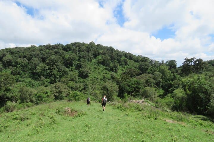 Masai Mara to Loita Forest: 6-Day Camping & Walking Safari photo 4