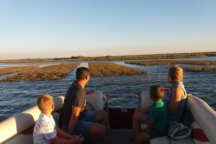 Ria Formosa Catamaran Tour from Faro — Birdwatching & Nature Cruise photo 3