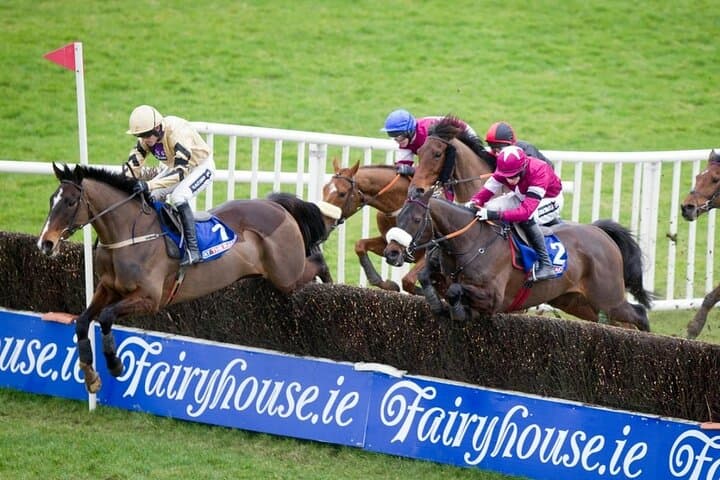 Dublin Horse Lovers Tour: Irish National Stud & Day at the Races photo 3