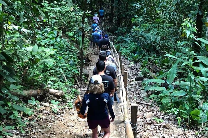 Shared Nauyaca Waterfall Adventure — 6 Hours from Quepos photo 5