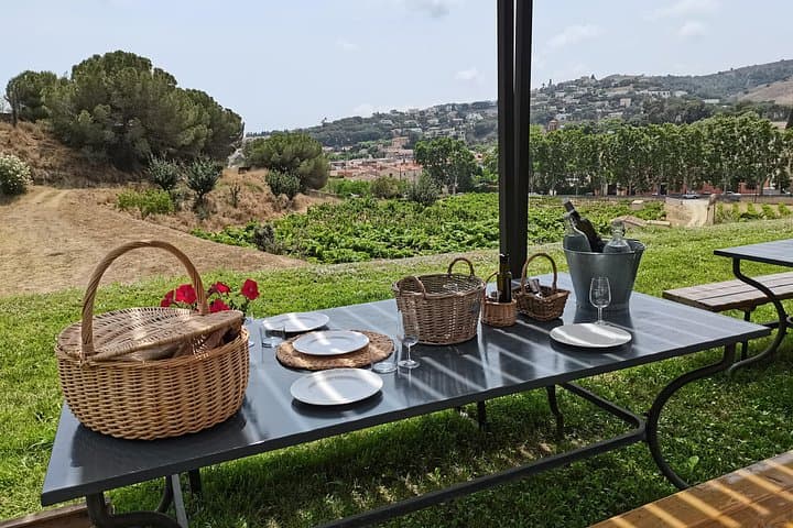 Coastal E‑Bike and Wine Tasting Tour from Barcelona to Alta Alella Winery photo 2