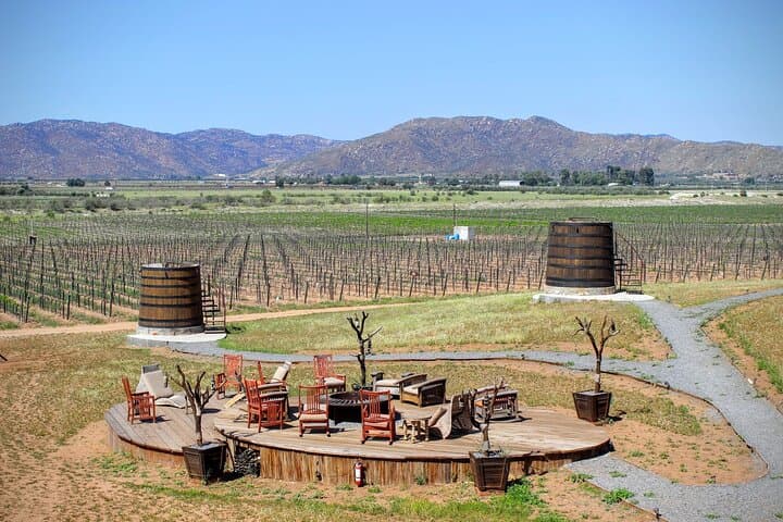 Valle de Guadalupe Private Wine Tour: 10-Hour Driver & Vehicle