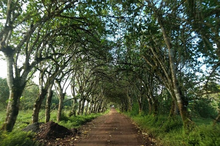 3-Day Galapagos Fast Visit: Charles Darwin Station, Highlands & Island Snorkel Options photo 3