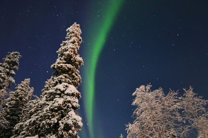 Chase the Northern Lights with the Real Santa Claus in Rovaniemi photo 2