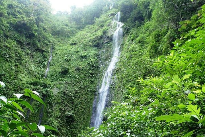 Blue River Waterfall & Sloth Expedition on Maderas Volcano, Ometepe photo 4