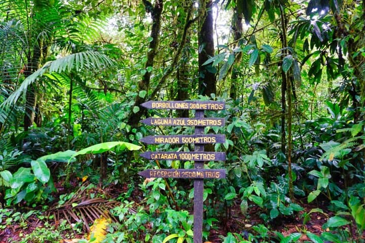 Blue River Waterfall & Sloth Expedition on Maderas Volcano, Ometepe photo 6