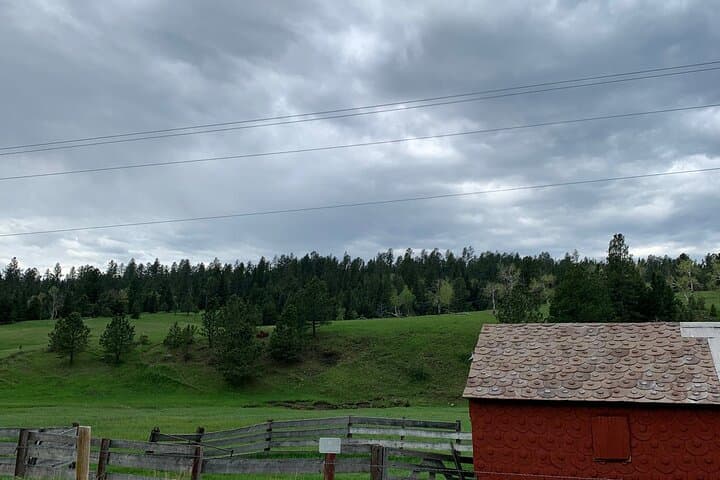 Ride the Mickelson Trail: Private 20-Mile Black Hills Bike Tour from Rapid City photo 4
