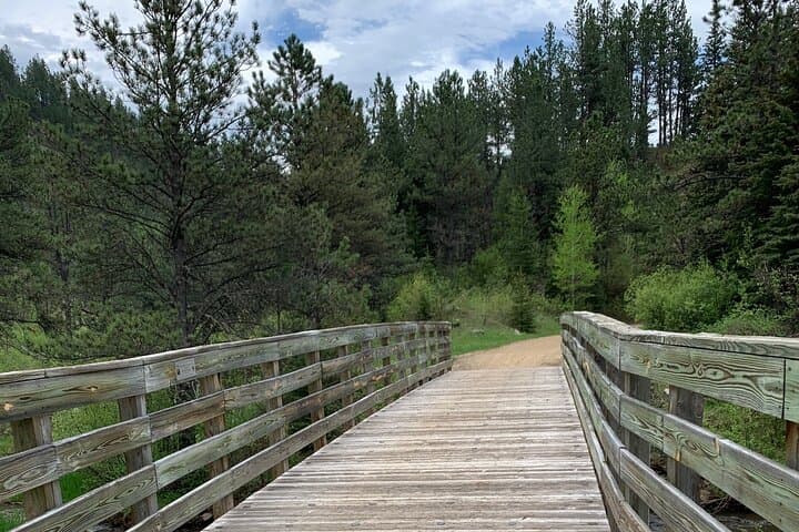 Ride the Mickelson Trail: Private 20-Mile Black Hills Bike Tour from Rapid City photo 5