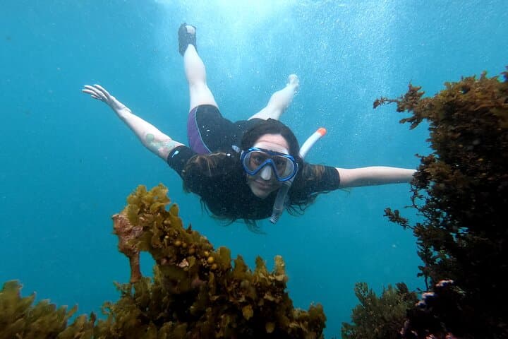 5-Day Galapagos Adventure: Snorkel with Turtles & Hike Sierra Negra