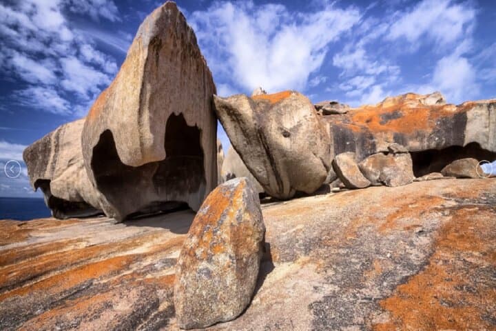 6-Day Kangaroo Island & Adelaide Tour — Barossa Wineries, Flinders Chase & Seal Bay photo 6