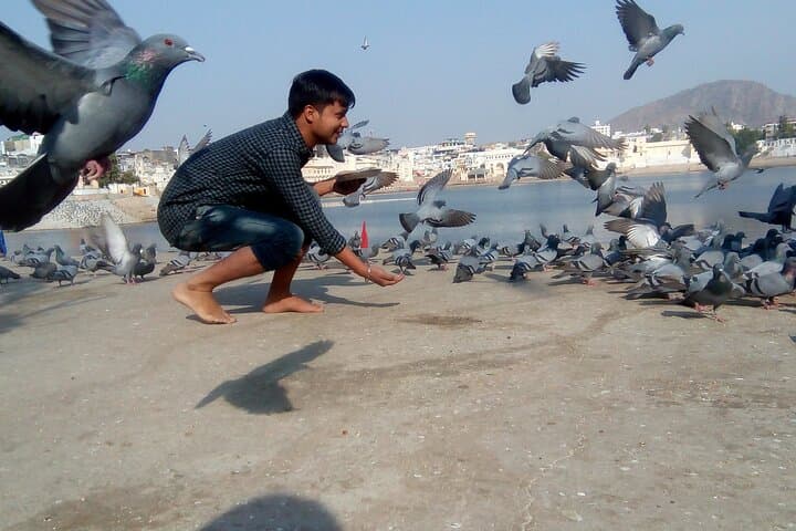 Discover Rajasthan: Jaipur, Pushkar & Udaipur 6-Day Cultural Tour photo 5
