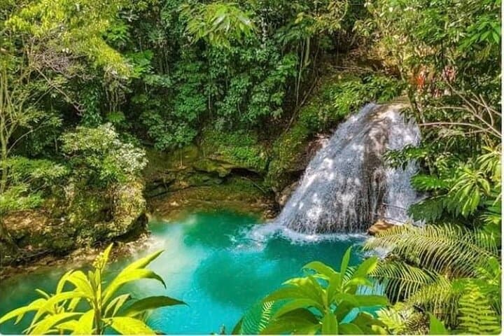 Dunn's River Falls & Blue Hole Combo: Ocho Rios Day Trip from Montego Bay