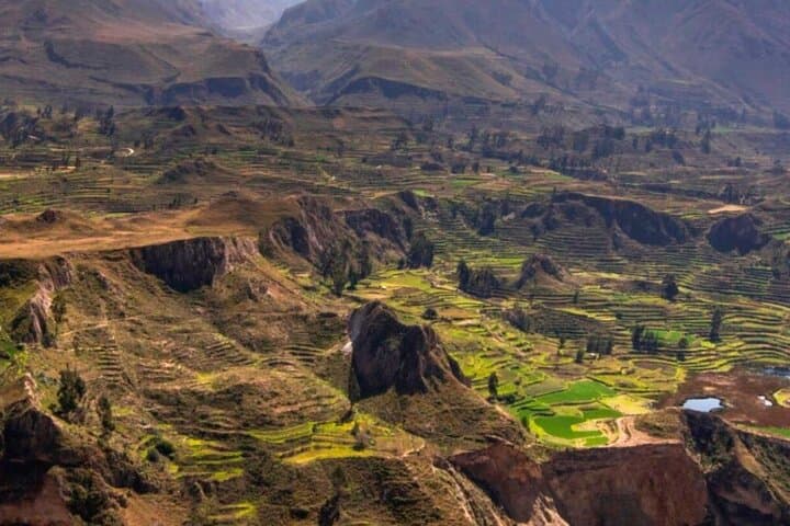 Full-Day Colca Canyon Tour from Arequipa: Cruz del Cóndor & Hot Springs photo 3