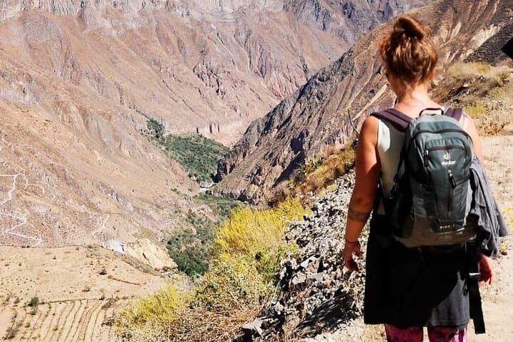 Full-Day Colca Canyon Tour from Arequipa: Cruz del Cóndor & Hot Springs photo 1
